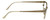 Cazal Designer Eyeglasses Cazal-4214-003 in White Gold 53mm :: Rx Bi-Focal