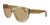 Profile View of Tom Ford TF577-45E Diane Ladies Cateye Sunglasses Shiny Crystal Brown/Amber 56mm