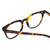 Close Up View of Ernest Hemingway H4900 Designer Single Vision Prescription Rx Eyeglasses in Gloss Brown Amber Tortoise Havana/Silver Accents Unisex Cateye Full Rim Acetate 52 mm