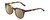Profile View of Ernest Hemingway H4900 Designer Polarized Sunglasses with Custom Cut Amber Brown Lenses in Gloss Brown Amber Tortoise Havana/Silver Accents Unisex Cateye Full Rim Acetate 52 mm