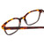 Close Up View of Ernest Hemingway H4867 Designer Reading Eye Glasses with Custom Cut Powered Lenses in Tortoise Havana Brown Amber/Grey Fade/Silver Accent Unisex Cateye Full Rim Acetate 50 mm