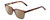 Profile View of Ernest Hemingway H4868 Designer Polarized Reading Sunglasses with Custom Cut Powered Amber Brown Lenses in Tortoise Havana Brown Amber/Grey Fade/Silver Accent Unisex Cateye Full Rim Acetate 52 mm