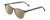 Profile View of Ernest Hemingway H4865 Designer Polarized Reading Sunglasses with Custom Cut Powered Amber Brown Lenses in Grey Mist Crystal/Rounded Tips Unisex Cateye Full Rim Acetate 49 mm