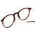 Close Up View of Ernest Hemingway H4845 Designer Reading Eye Glasses with Custom Cut Powered Lenses in Matte Brown Auburn Tortoise Havana Gold Unisex Round Full Rim Acetate 48 mm