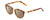Profile View of Ernest Hemingway H4838 Designer Polarized Sunglasses with Custom Cut Amber Brown Lenses in Aurburn Brown Yellow Tortoise Havana/Gold Accents Ladies Cateye Full Rim Acetate 49 mm