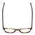 Top View of Ernest Hemingway H4829 Unisex Round Eyeglasses Brown Yellow Tortoise Black 48 mm