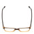 Top View of Ernest Hemingway H4811 Designer Reading Eye Glasses with Custom Cut Powered Lenses in Brown/Light Beige Clear Mist Layered Unisex Cateye Full Rim Acetate 53 mm