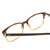 Close Up View of Ernest Hemingway H4811 Designer Bi-Focal Prescription Rx Eyeglasses in Brown/Light Beige Clear Mist Layered Unisex Cateye Full Rim Acetate 53 mm