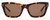 Front View of SITO SHADES BREAK OF DAWN Unisex Sunglasses in Honey Tortoise Havana/Brown 54 mm