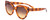 Profile View of SITO SHADES GOOD LIFE Women Sunglasses Amber Tortoise Havana/Amber Gradient 54mm
