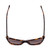 Top View of SITO SHADES WONDERLAND Women Cat Eye Sunglasses Honey Tortoise Havana/Brown 54mm