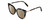 Profile View of Kendall+Kylie KK5128CE CECI Designer Polarized Reading Sunglasses with Custom Cut Powered Amber Brown Lenses in Blue Demi Tortoise Havana Ladies Cat Eye Full Rim Acetate 53 mm