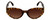 Front View of Kendall+Kylie ALEXANDRA Cateye Sunglasses Amber Tortoise Crystal Gold/Brown 49mm