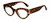 Profile View of Kendall+Kylie KK5143CE ALEXANDRA Designer Reading Eye Glasses in Amber Demi Tortoise Havana Crystal Gold Ladies Cat Eye Full Rim Acetate 49 mm