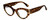 Profile View of Kendall+Kylie KK5143CE ALEXANDRA Designer Blue Light Blocking Eyeglasses in Amber Demi Tortoise Havana Crystal Gold Ladies Cat Eye Full Rim Acetate 49 mm