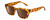 Profile View of Kendall+Kylie KK5145CE SADIE Women Sunglasses Tortoise Havana Crystal/Brown 50mm