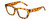 Profile View of Kendall+Kylie KK5145CE SADIE Designer Reading Eye Glasses with Custom Cut Powered Lenses in Amber Demi Tortoise Havana Crystal Ladies Square Full Rim Acetate 50 mm