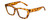 Profile View of Kendall+Kylie KK5145CE SADIE Designer Progressive Lens Prescription Rx Eyeglasses in Amber Demi Tortoise Havana Crystal Ladies Square Full Rim Acetate 50 mm