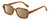 Profile View of Kendall+Kylie KK5152CE GINGER Designer Polarized Sunglasses with Custom Cut Amber Brown Lenses in Golden Demi Tortoise Havana Ladies Hexagonal Full Rim Acetate 50 mm