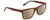 Profile View of Calvin Klein CK21531S Designer Polarized Sunglasses with Custom Cut Amber Brown Lenses in Brown Havana Tortoise Green Unisex Square Full Rim Acetate 58 mm