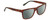 Profile View of Calvin Klein CK21531S Designer Polarized Sunglasses with Custom Cut Smoke Grey Lenses in Brown Havana Tortoise Green Unisex Square Full Rim Acetate 58 mm