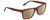Profile View of Calvin Klein CK21531S Designer Polarized Reading Sunglasses with Custom Cut Powered Amber Brown Lenses in Brown Havana Tortoise Green Unisex Square Full Rim Acetate 58 mm