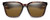 Front View of Smith Optics Shoutout-086 Unisex Sunglasses in Tortoise Havana Brown/Amber 57 mm