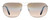 Front View of Reptile Terrapin Avaitor Polarized Sunglasses Chrome Silver/Brown Gradient 62 mm
