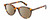 Profile View of Levi's Seasonal LV1005 Designer Polarized Reading Sunglasses with Custom Cut Powered Amber Brown Lenses in Havana Tortoise Brown Gold Ladies Round Full Rim Acetate 50 mm