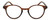 Front View of Elle EL15557R Designer Reading Eye Glasses with Custom Cut Powered Lenses in Gloss Tortoise Havana Brown Spot Ladies Panthos Full Rim Acetate 49 mm