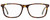 Front View of Carrera 202 Designer Reading Eye Glasses with Custom Cut Powered Lenses in Brown Tortoise Havana Gold Clear Crystal Unisex Panthos Full Rim Acetate 55 mm