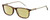 Profile View of Carrera 202 Designer Polarized Reading Sunglasses with Custom Cut Powered Sun Flower Yellow Lenses in Brown Tortoise Havana Gold Clear Crystal Unisex Panthos Full Rim Acetate 55 mm