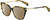 Profile View of Rag&Bone 3005 Designer Polarized Sunglasses with Custom Cut Amber Brown Lenses in Tortoise Havana Yellow Brown Gold Ladies Cat Eye Full Rim Acetate 53 mm