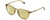 Profile View of Polaroid 2115/F/S Designer Polarized Reading Sunglasses with Custom Cut Powered Sun Flower Yellow Lenses in Champagne Crystal Brown Navy Blue Unisex Panthos Full Rim Acetate 54 mm