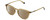 Profile View of Polaroid 2115/F/S Designer Polarized Reading Sunglasses with Custom Cut Powered Amber Brown Lenses in Champagne Crystal Brown Navy Blue Unisex Panthos Full Rim Acetate 54 mm