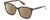 Profile View of Polaroid 4101/F/S Designer Polarized Reading Sunglasses with Custom Cut Powered Amber Brown Lenses in Gloss Tortoise Havana Brown Gemstone Crystal Accents Ladies Cat Eye Full Rim Acetate 65 mm