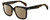 Profile View of Rag&Bone RNB1018/S Designer Polarized Sunglasses with Custom Cut Amber Brown Lenses in Dark Tortoise Havana Brown Amber Gold Ladies Square Full Rim Acetate 56 mm