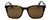 Front View of Rag&Bone RNB5016/S Unisex Square Sunglasses in Tortoise Havana Silver/Brown 52mm