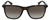 Front View of Police SPL872 Unisex Sunglasses Tortoise Havana Brown Silver/Amber Gradient 56mm