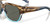 Top View of Costa Del Mar Waterwoman Cat Eye Sunglasses Wahoo Brown/Polarized Gray 580G 55mm