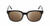 Front View of BCBG BAR104BL Unisex Panthos Sunglasses in Black Silver 52mm with NON-Polarized Brown Gradient Lenses