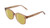 Profile View of BCBG BAR104BL Designer Polarized Reading Sunglasses with Custom Cut Powered Sun Flower Yellow Lenses in Nude Brown Crystal  Unisex Panthos Full Rim Acetate 52 mm