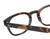 Close Up View of Reptile Chelidae Designer Single Vision Prescription Rx Eyeglasses in Amber Brown Tortoise Havana Crystal Unisex Panthos Full Rim Acetate 49 mm