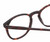 Close Up View of Reptile Larachelus Unisex Designer Reading Glasses in Brown Tortoise Havana 50mm