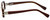 Calabria Designer Eyeglasses 853 Cocoa :: Progressive