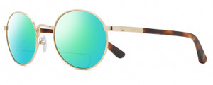 REVO RILEY S Unisex Polarized BIFOCAL Sunglass Gold Tortoise Havana ...