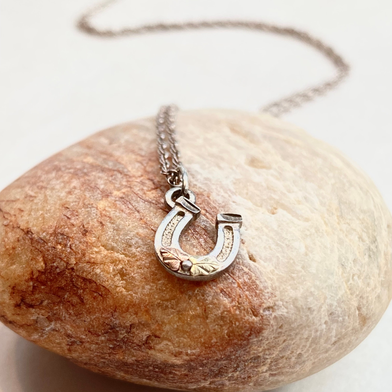 Silver with Gold Accent Horseshoe Necklace