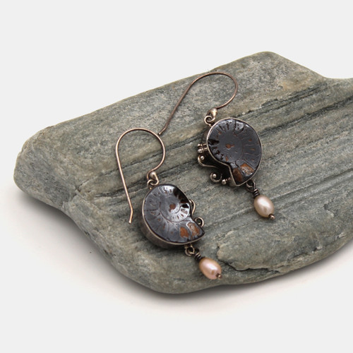 Fossilized Ammonite Earrings