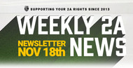 2A Newsletter: Week of November 18th!