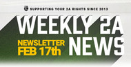 2A Newsletter: Week of February 17th